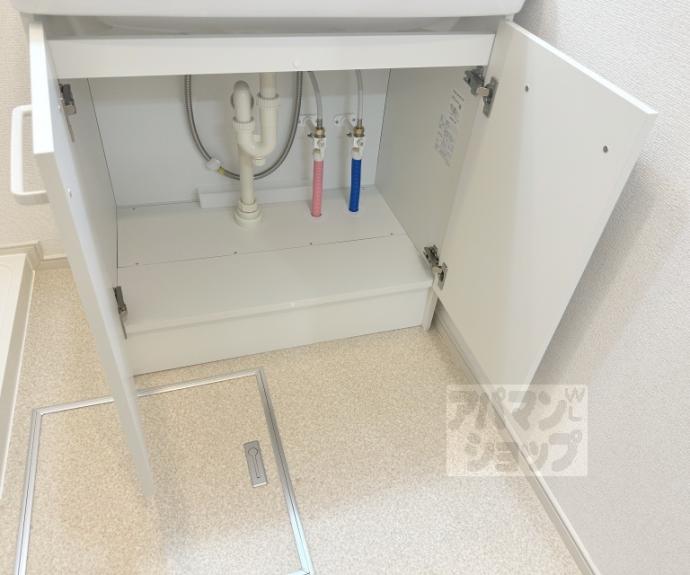 【オーサムヴィレッジ京都桂】間取