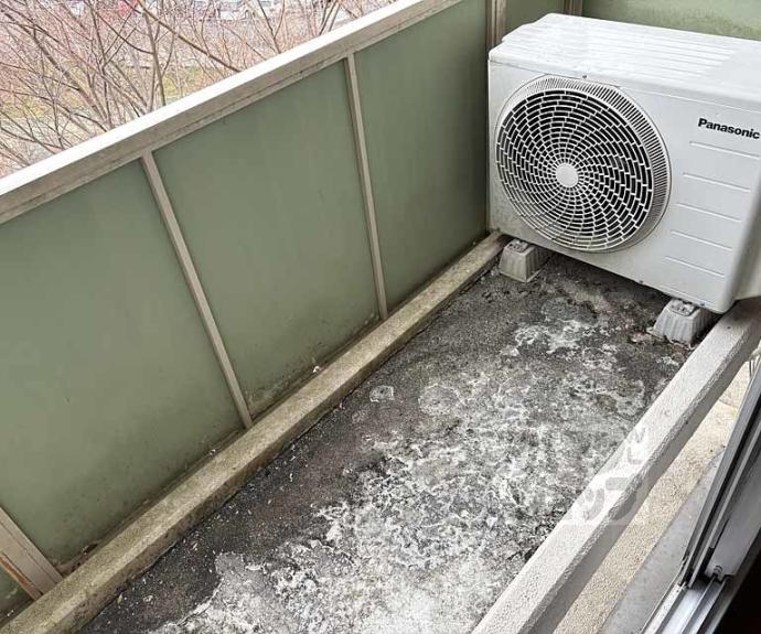 【パティオＯＫＡＭＯＴＯ】間取