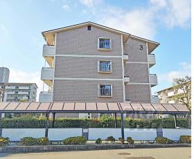 醍醐東市営住宅　３棟：間取図