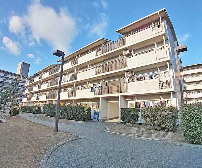 【醍醐東市営住宅 3棟】間取