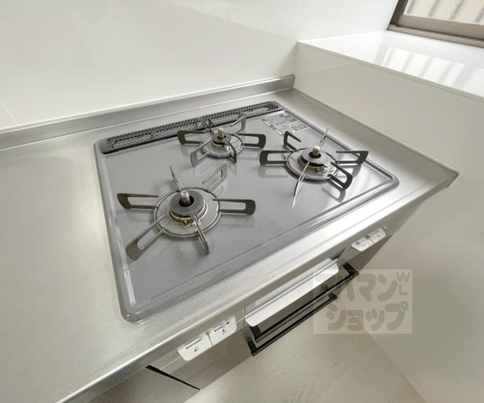 【嵯峨明星町戸建貸家】間取