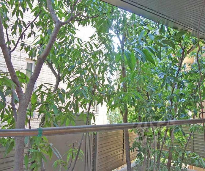 【ロックアイランド】