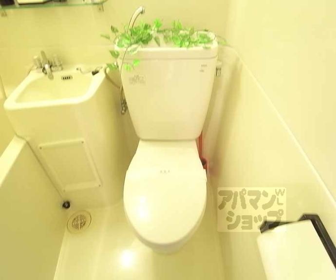 【MOUNTAIN】間取