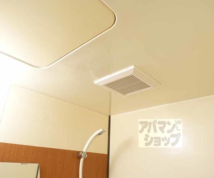 【MOUNTAIN】間取