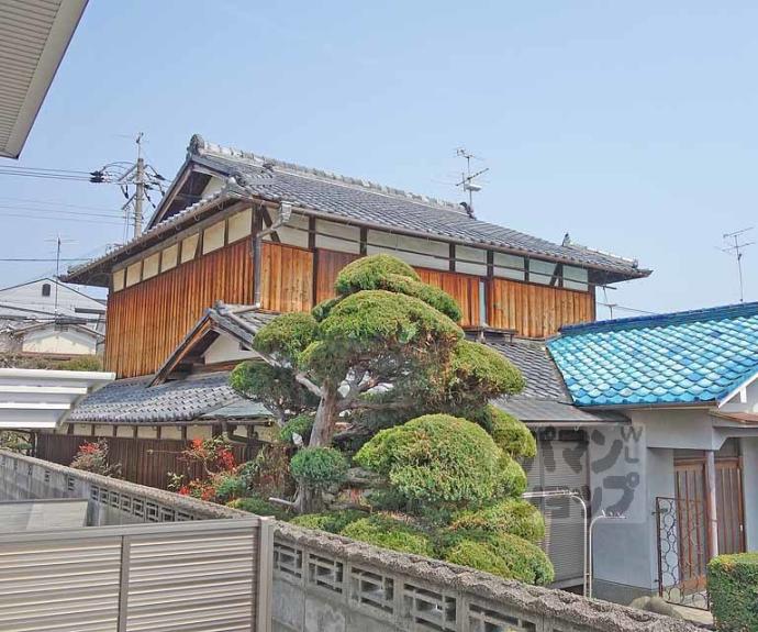 【メゾン青ノ葉】間取