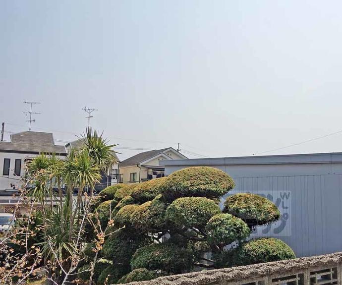 【メゾン青ノ葉】間取