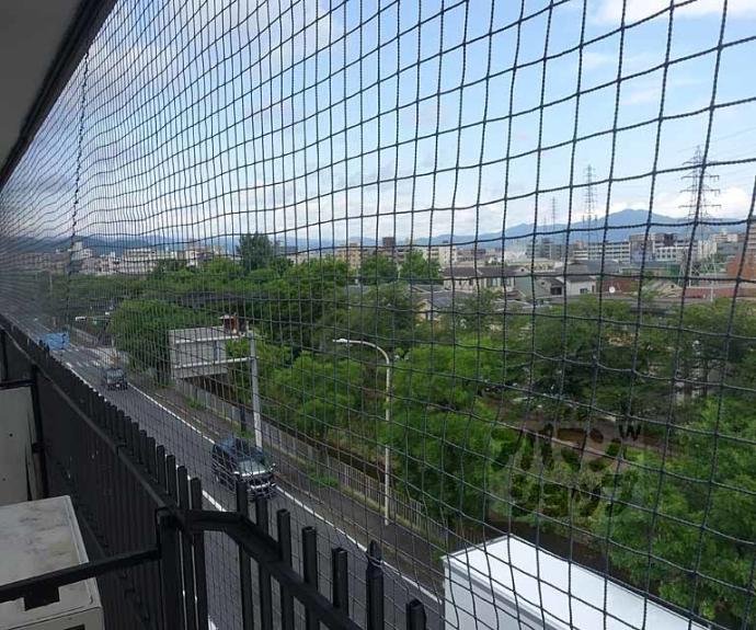 【南大入小堀マンション（旧館・新館）】間取