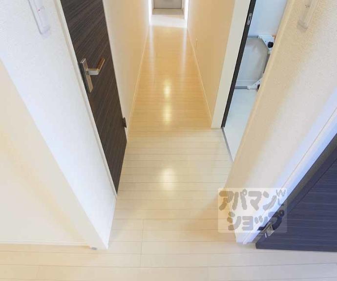 【シャーメゾン清沢】間取