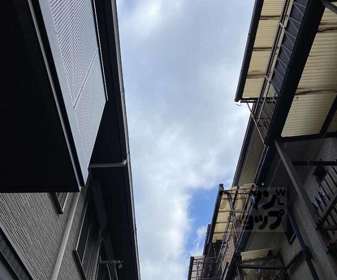 【シャーメゾン清沢】間取