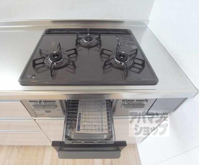 【Ｖｉｌｌａ　ＶＩＺＣＡＹＡ】間取