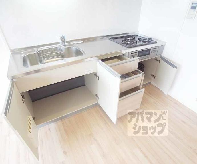 【Ｖｉｌｌａ　ＶＩＺＣＡＹＡ】間取