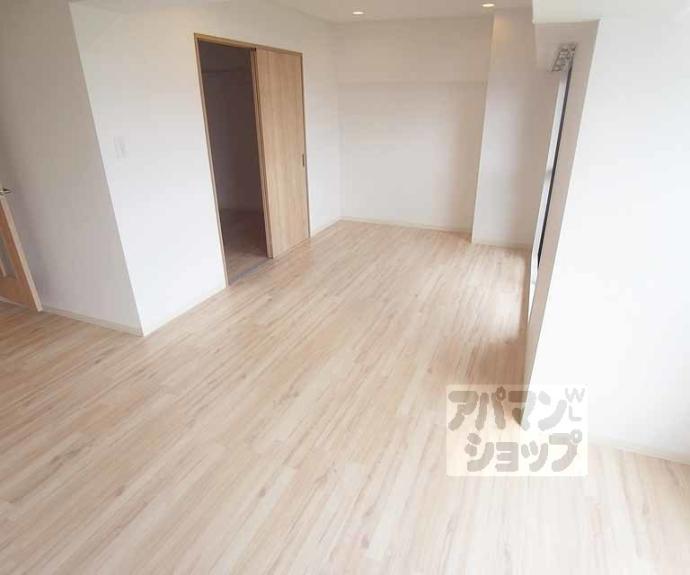 【Ｖｉｌｌａ　ＶＩＺＣＡＹＡ】間取