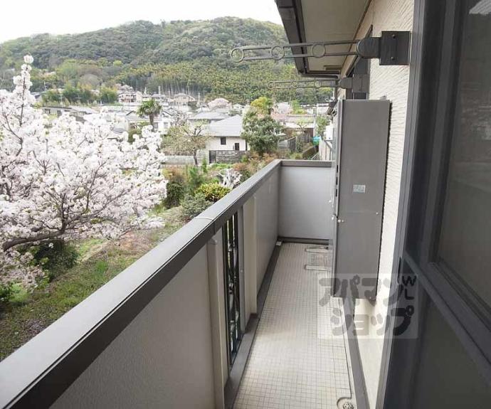 【フォレストほうじの木】間取