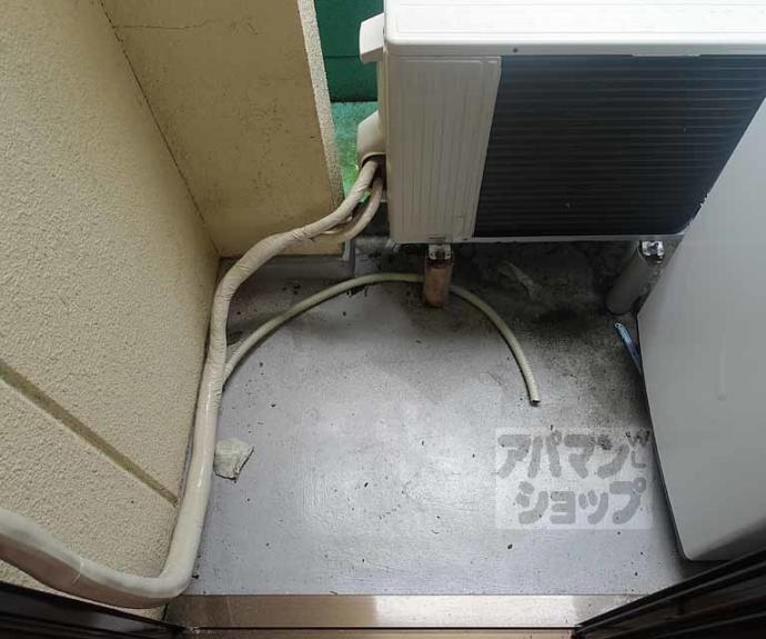 【ハイネス花園】間取