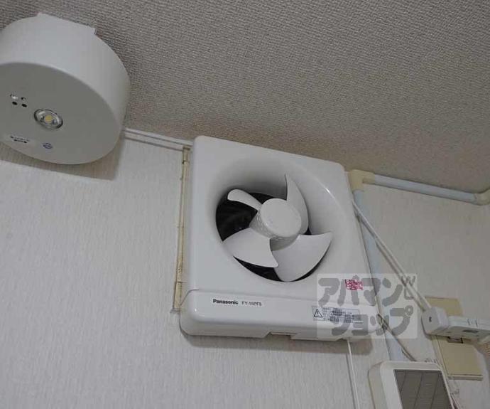 【ハイネス花園】間取