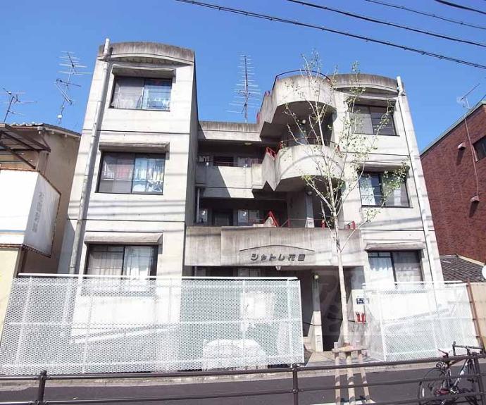 【シャトレ花園】間取