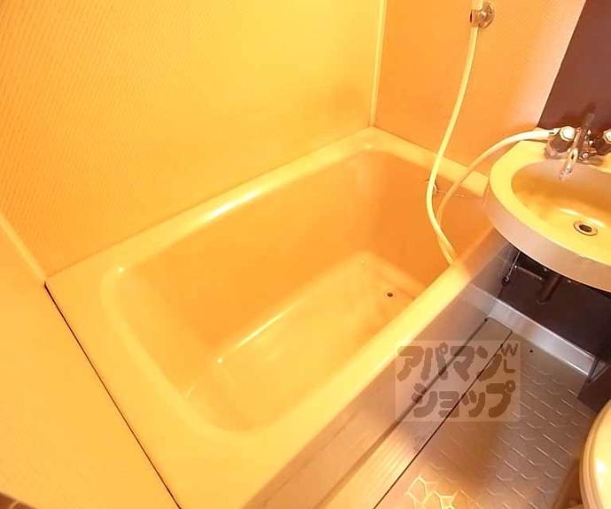 【シャトレ花園】間取