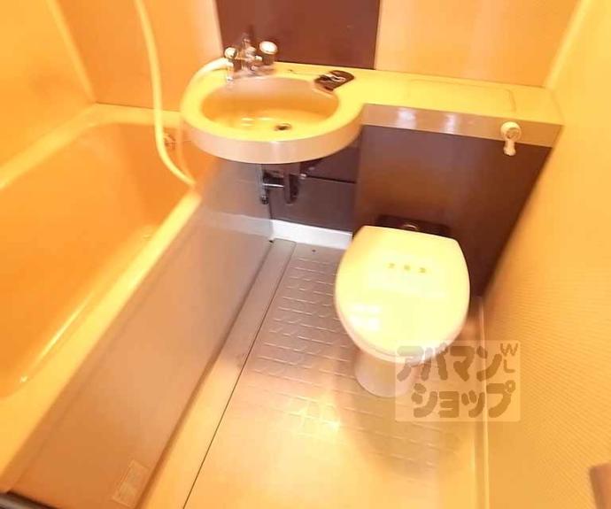 【シャトレ花園】間取