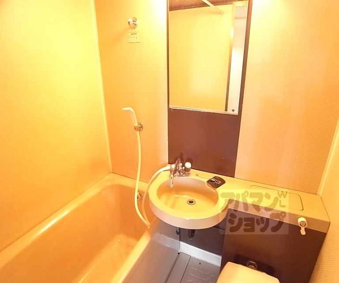 【シャトレ花園】間取