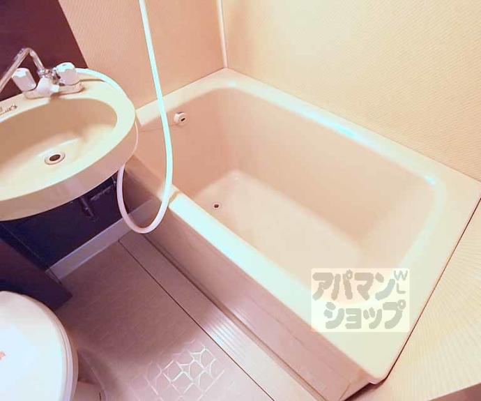 【シャトレ花園】間取