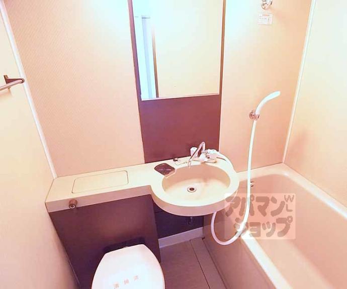 【シャトレ花園】間取