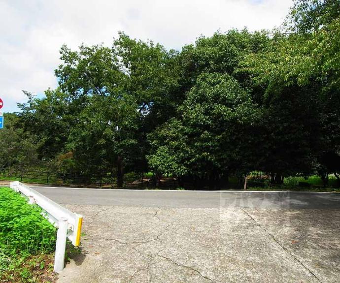 【ラ・メゾン・ド嵐山】間取