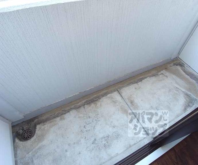 【Ａｐｏｌｌｏｎ】間取