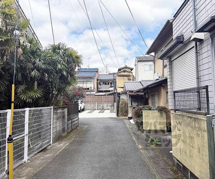 【カデンツァ】