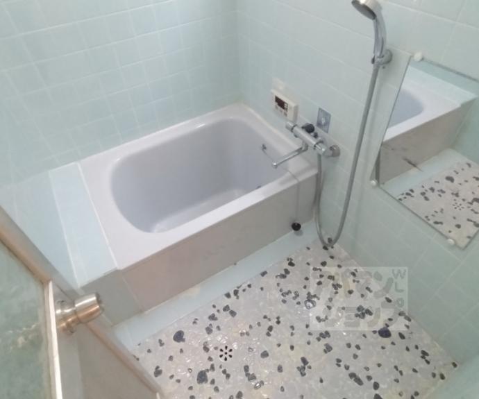 【西野大鳥井町テラスハウス】間取