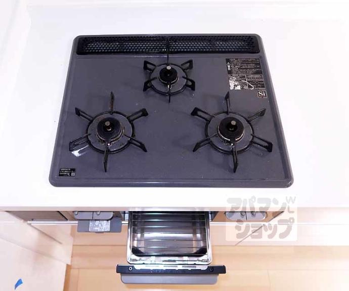 【パレジット五条】間取