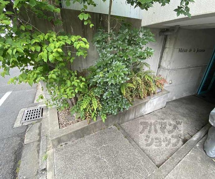 【メゾンジュネス】間取