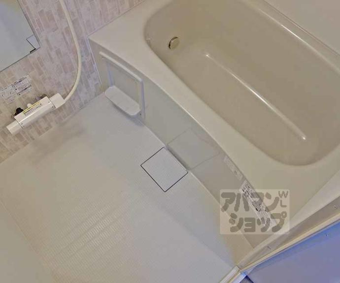 【ピーターパン】