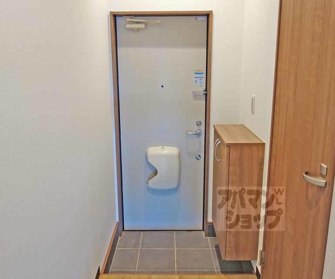 【ピーターパン】