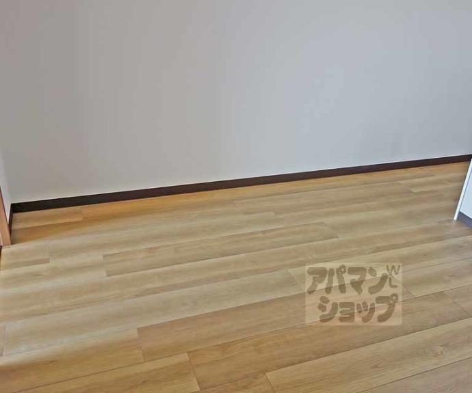 【ピーターパン】