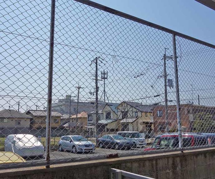 【ピーターパン】