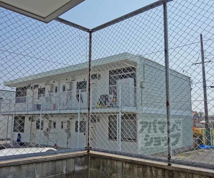 【ピーターパン】