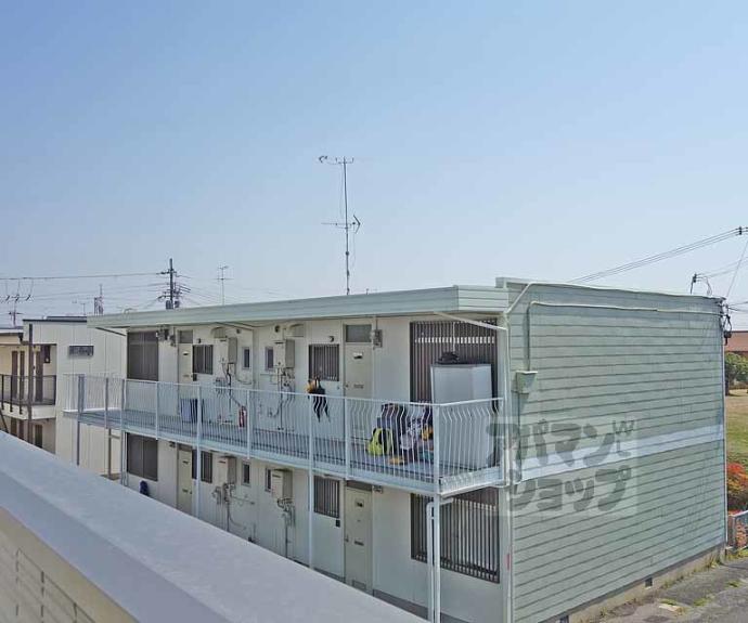 【ピーターパン】