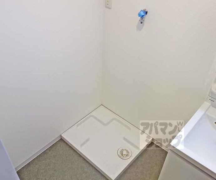 【ピーターパン】