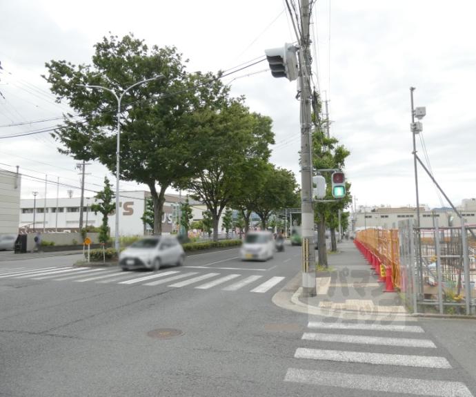 【ベラジオレガシー葛野大路八条】間取