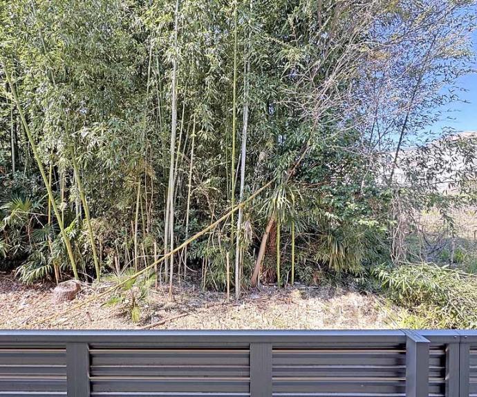 【グランシャリオ正道】間取