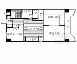 【ベアーレ芳樹】