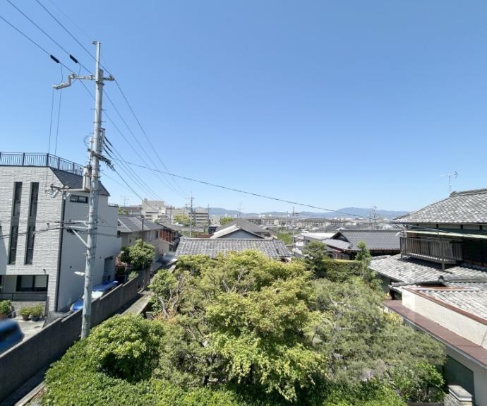 【Ｈａｌｅ　Ｍａｈａｌｏ】間取
