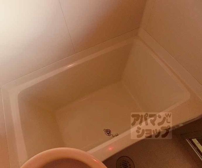 【ジュネス丸池】間取