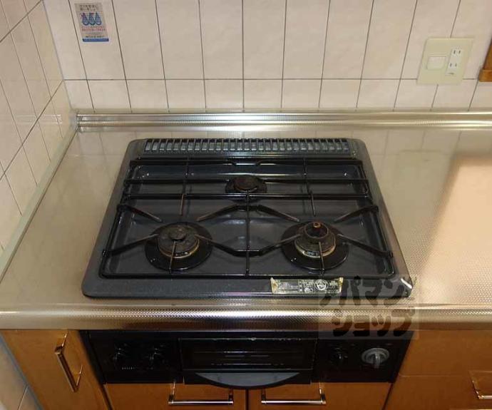 【パインフィールド洛南】間取