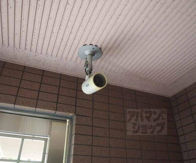 【サウスビン】間取