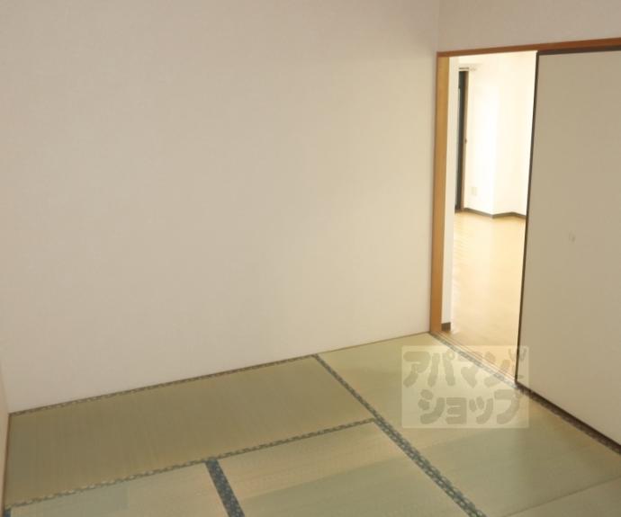 【サウスビン】間取