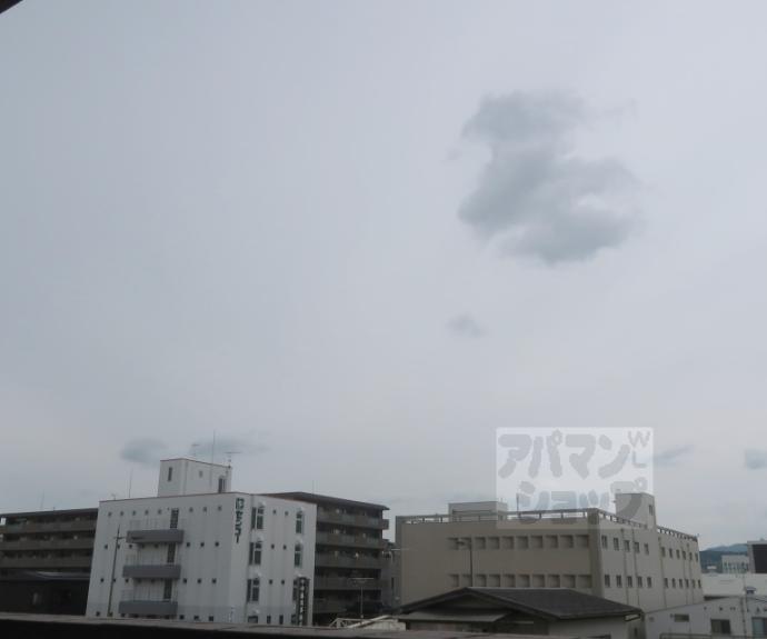 【サウスビン】間取