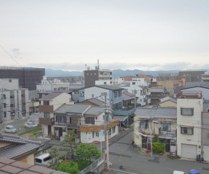 【サウスビン】間取