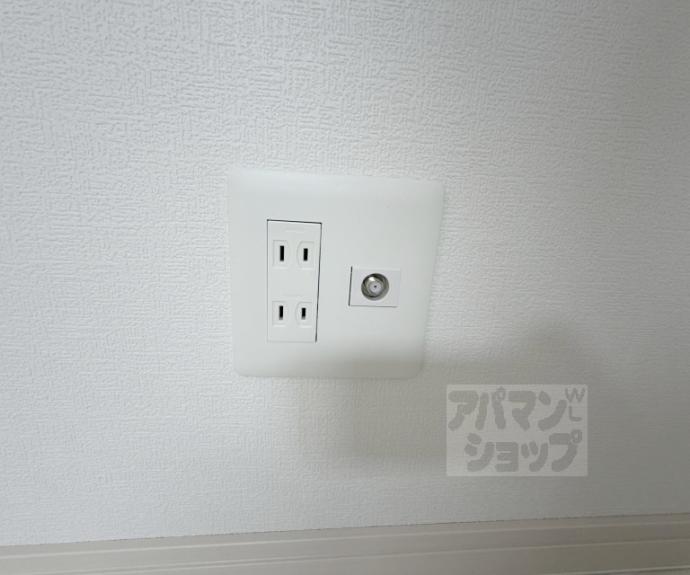【F asecia Kuulei】間取