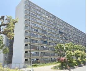 山科市営住宅　２棟：間取図